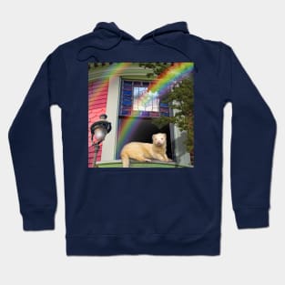 Summertime Rainbow Ferret. Spring Ferrets art design Hoodie